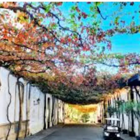 Brianna Jerez de la Frontera